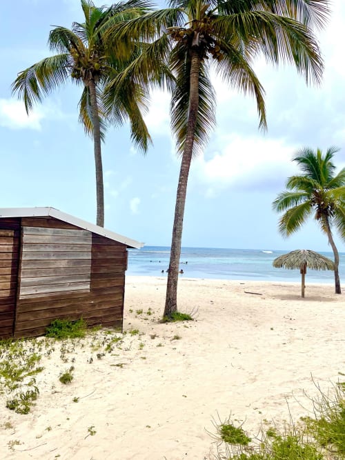 Plage tropicale avec palmiers élancés, petite case de plage en bois, rivage de sable fin et océan à l'Appartement Kfé Chocolat, Guadeloupe