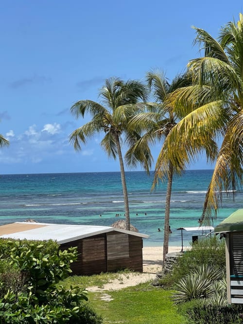Vue tropicale de l'Appartement Kfé Chocolat avec palmiers, plage de sable fin, océan turquoise et cabanes en bois
