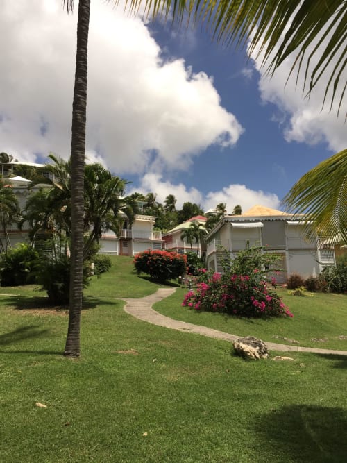 Jardins tropicaux de l'Appartement Kfé Chocolat avec palmiers, arbustes fleuris et bungalows colorés sous ciel bleu