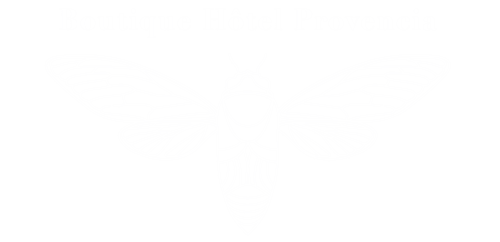 Hall d'accueil du Boutique Hôtel Provencia à Marseille avec un design intérieur élégant et une décoration contemporaine