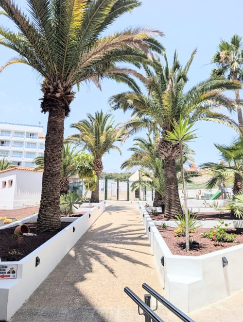 Palm-lined pathway at Manage Home Tenerife apartment in Costa Adeje with modern building and sea views