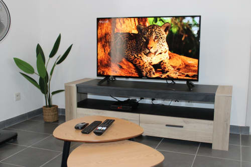 Séjour moderne de l'appartement T2 Hibiscus à Cayenne avec TV écran plat affichant un léopard, mobilier en bois et plantes en pot