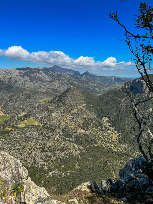 Paisaje de valle montañoso cerca de The Alma Suite en Álora, España con picos rocosos y bosques verdes bajo cielo azul