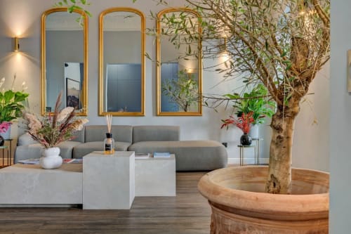 Elegante hall d'ingresso dell'Boutique Hôtel Provencia di Marsiglia con divano grigio curvo, specchi dorati e albero in vaso.