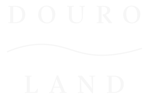 Logo do Hotel Douro Land com elegante design de ondas em Peso da Régua, Portugal