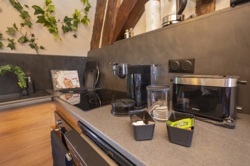 Kitchenette moderne à l'Accolade Châteaudun avec plaque à induction, appareils en acier inoxydable et plantes décoratives