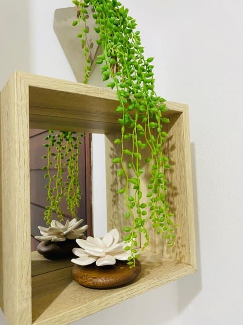 Niche murale en bois avec plante grimpante verte retombante et succulentes blanches aux Maisons En Or, Cayenne