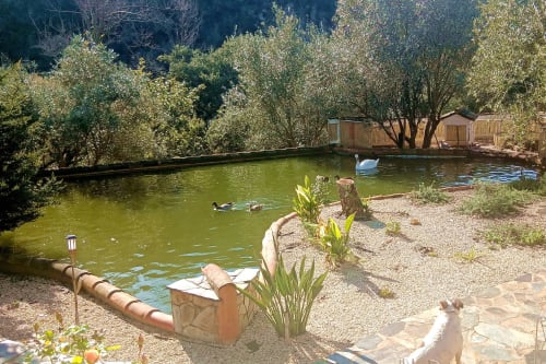 Lago sereno com cisnes e patos no hotel rural SELÃO DA EIRA no Alentejo, Portugal, cercado por árvores e jardim