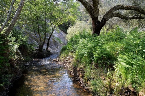 Riacho tranquilo fluindo pelos jardins exuberantes do hotel rural SELÃO DA EIRA no Alentejo, Portugal