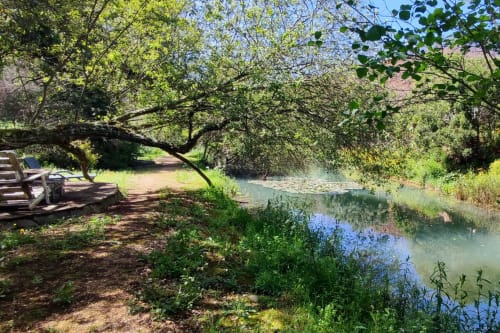Tranquilo jardim ribeirinho em SELÃO DA EIRA, Alentejo Portugal com árvores frondosas, bancos e vistas pacíficas da água