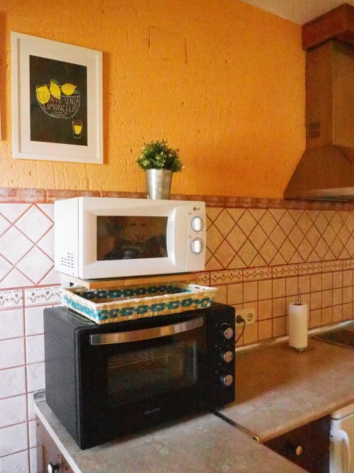 Zona de cocina con paredes naranjas, horno negro, microondas blanco y planta en apartamento rural español