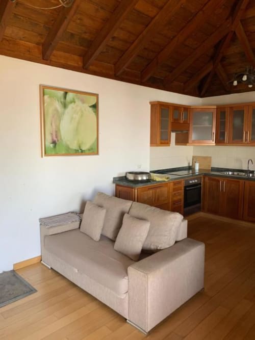 Sala de estar y cocina de villa moderna con sofá beige, carpintería de madera y arte de jardín en Rural La Palma