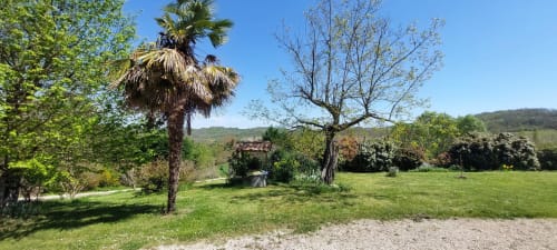 Lush garden at Les Gites de Campardon, Monties with palm tree, green lawn, flowering shrubs and hillside views