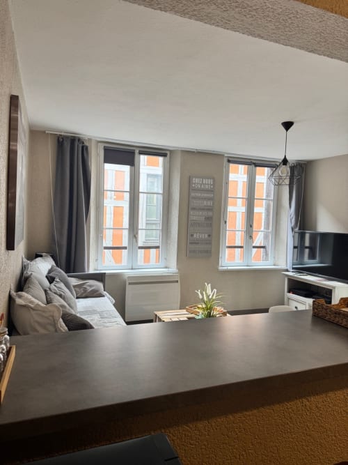 Séjour moderne à Troyes avec vue sur la ville, table à manger noire, canapé gris, fenêtres donnant sur immeuble orange