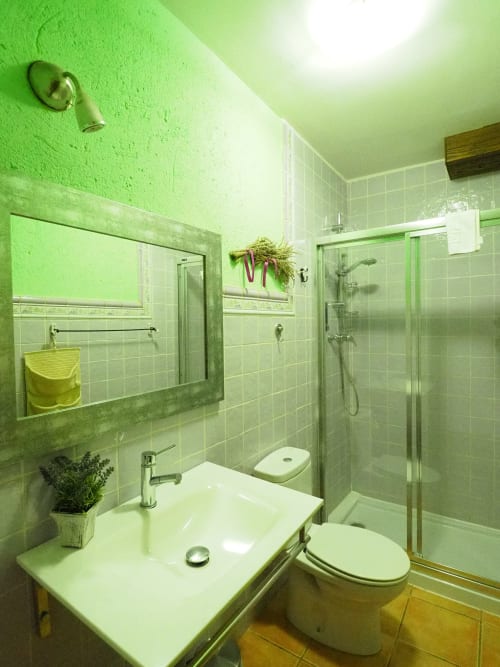 Moderno baño con azulejos verdes, lavabo blanco, inodoro y ducha con mampara de cristal en Apartamentos Rural Senda del Duratón