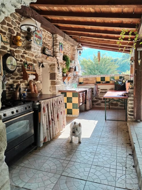 White dog in stone cottage kitchen with wooden beams, outdoor terrace and mountain view in South of France gîte