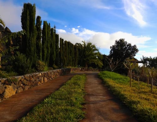 Camino rural con cipreses y muros de piedra en Tijarafe, La Palma, vistas montañosas y jardín