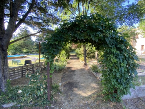 Pergola verdoyante menant aux jardins du gîte Le Cocon De Curson à Chanos-Curson, France