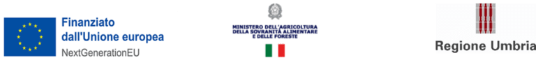 Scarica il PDF