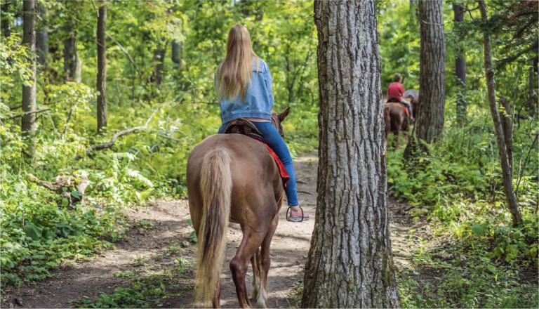 Passeios a Cavalo