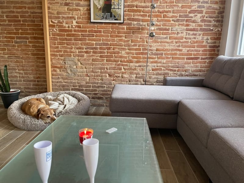 Séjour cosy à la villa Les Gites De Flaubert avec chien dans le lit, canapé gris, briques apparentes et table basse verte