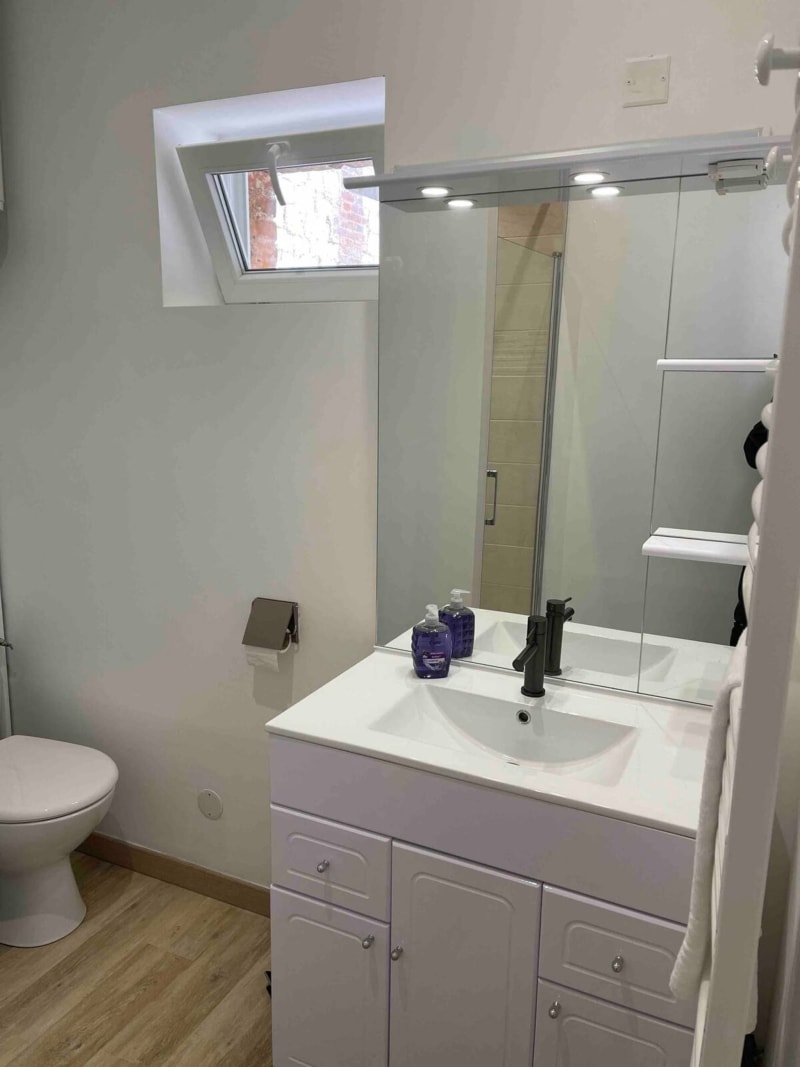 Salle de bain moderne aux Gites De Flaubert avec vasque blanche, miroir, toilettes et fenêtre au Héron