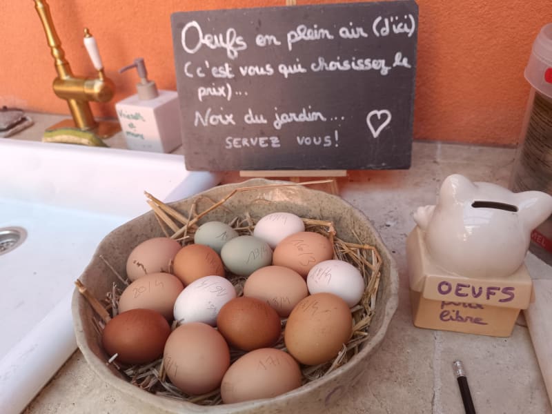 La Grange aux Fées — Photo 3