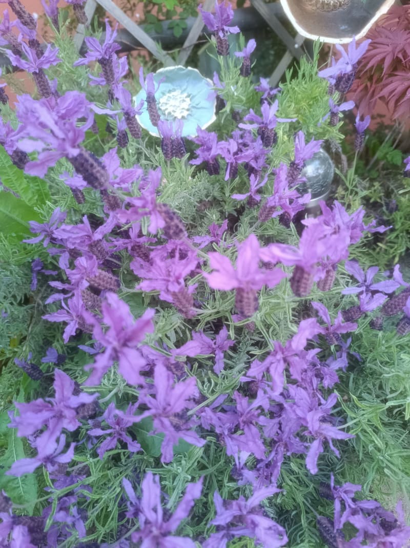 La Grange aux Fées — Photo 5