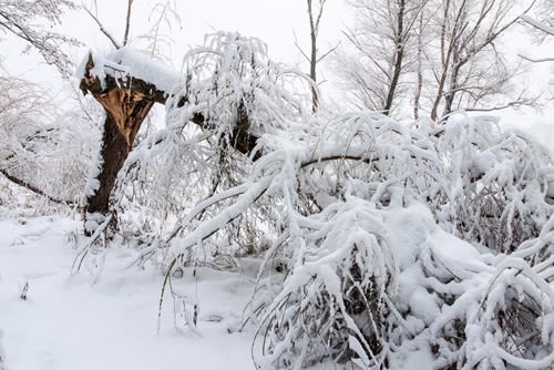 There are few precautions you need to take if you want to outlast the harsh winter weather that's headed your way.