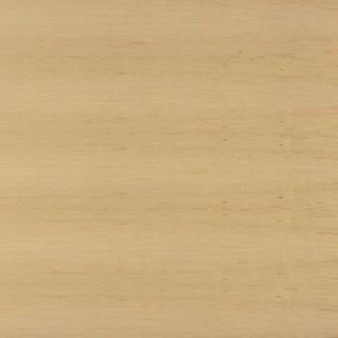 Clear Maple  Panolam Surface Systems