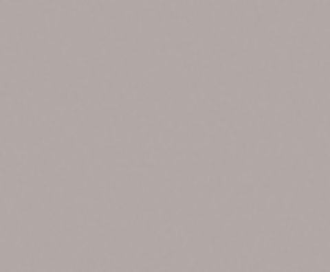 RAUVISIO Crystal Sabbia 1687L High-Gloss Slim Wall Panel