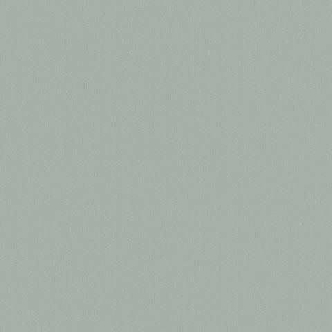 Prism SF213 Fog Grey TFL P/B Core G2S