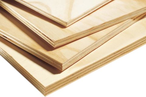 Amerhart Araucoply Ac Grade Radiata Pine 4 X 8 Sanded Plywood