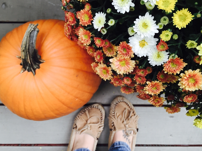 Amerhart Ways to decorate your deck this fall