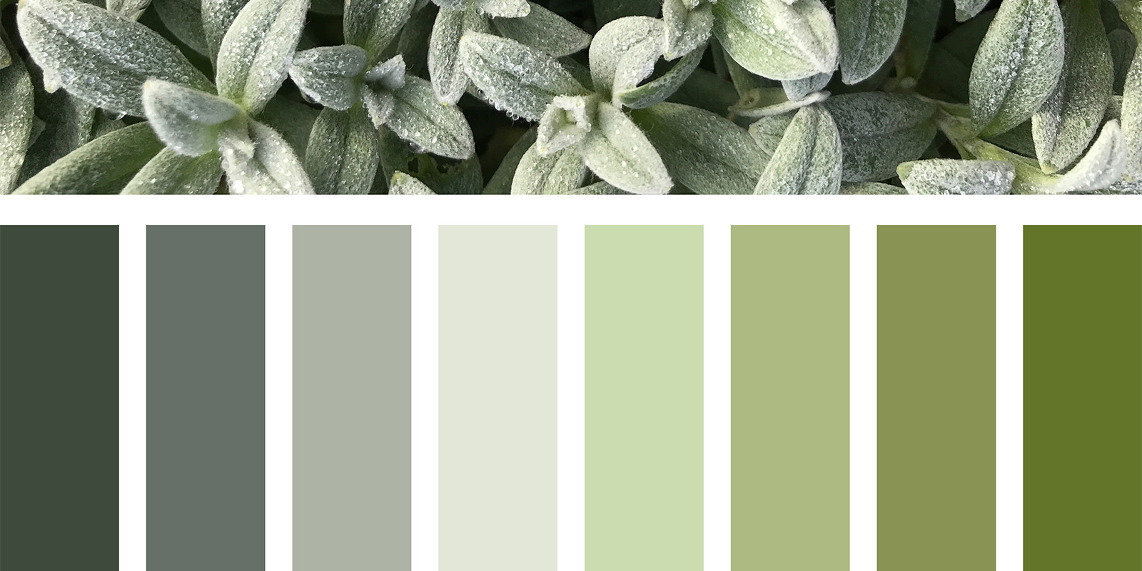 neutral green Color Palette