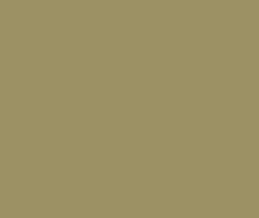 Image of a Mexican sand color finish on a tub.