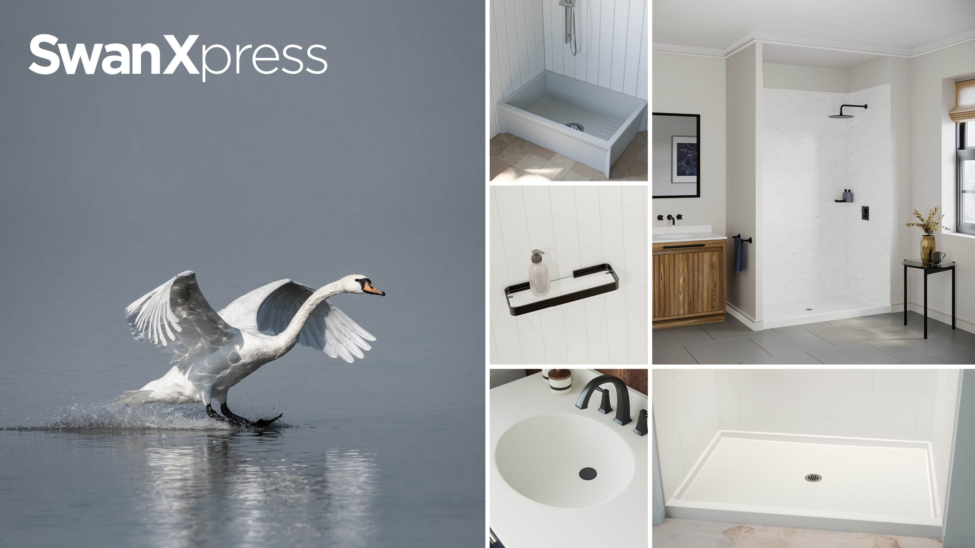 A black and white swan flying down to land in water on the left and product images on the right.