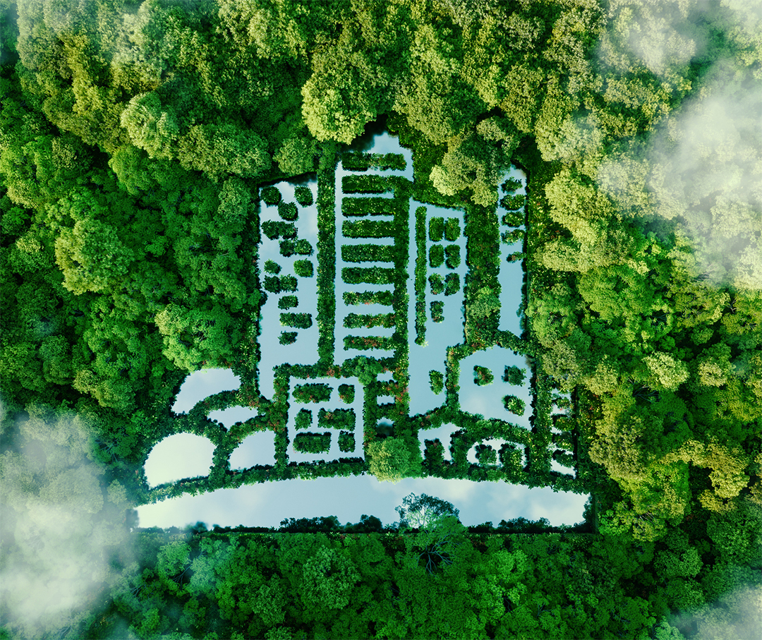 Aerial view of green trees.