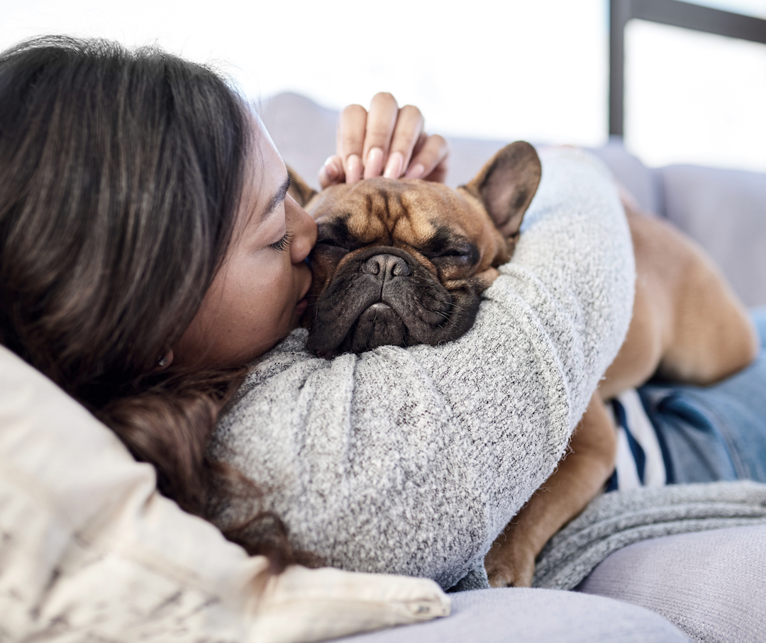 A woman with brown hair cuddling a small tan and black dog on a couch.