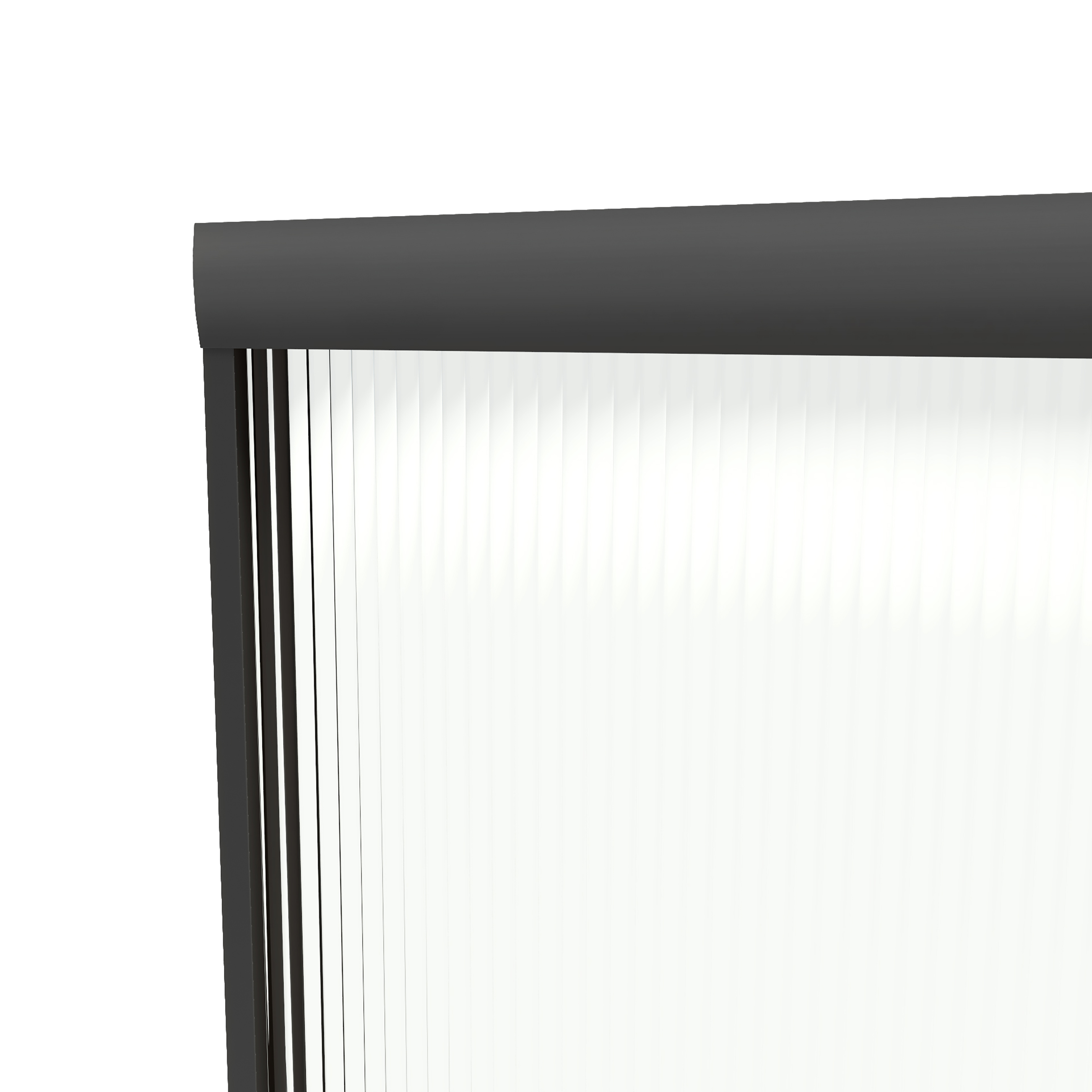 NEPTUNE-MISCA-HEADER-ZOOM-MB-FL