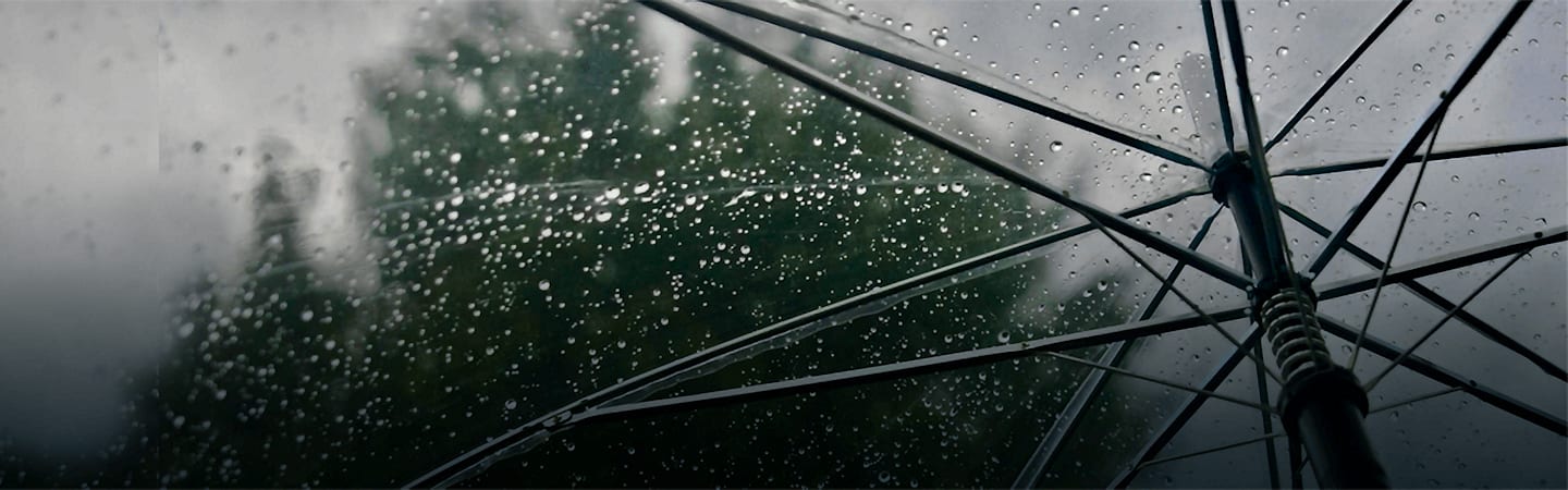 Transparent umbrella in the rain.