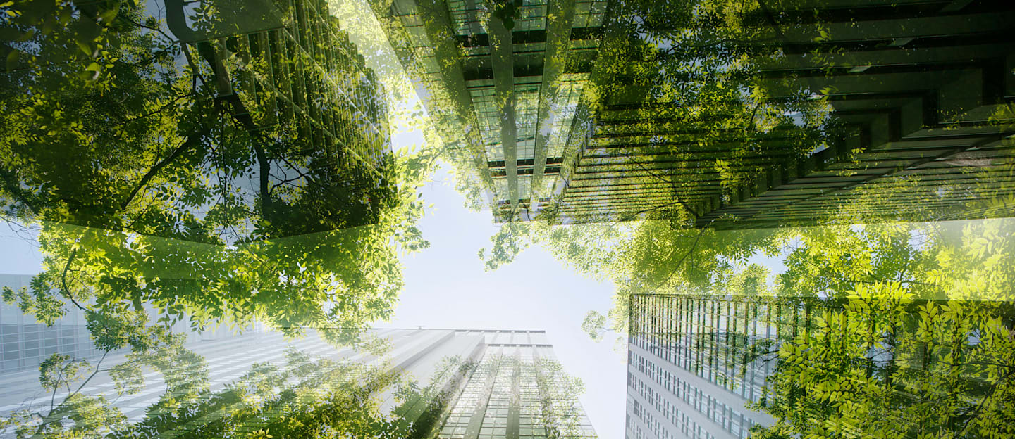City skyline blended with forest.