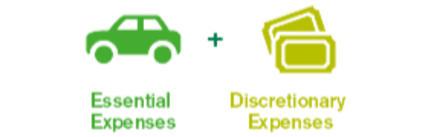 Essential Expenses plus Discretionary Expenses.