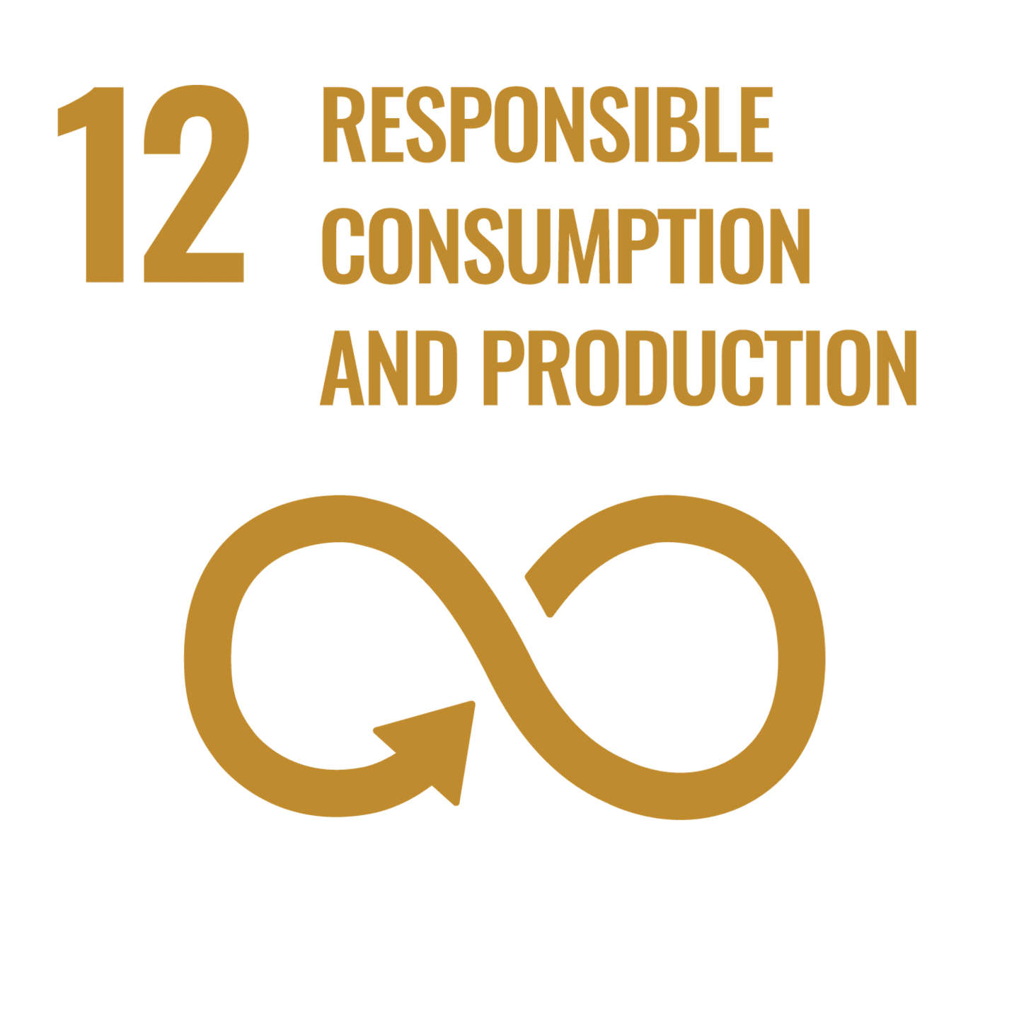 UN Sustainable Development Goal 12: Responsible Consumption and Production