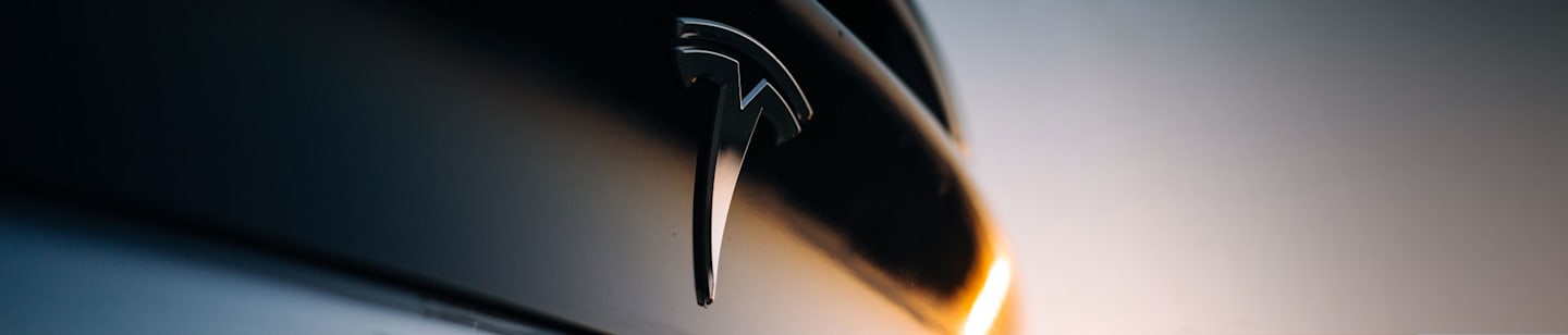 A close-up of the Tesla care emblem.