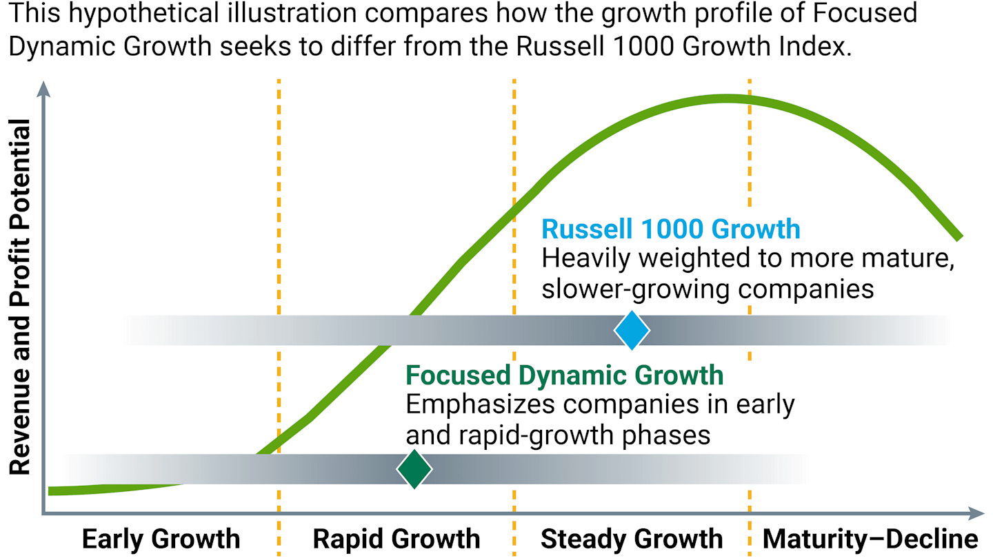 U.S. Focused Dynamic Growth