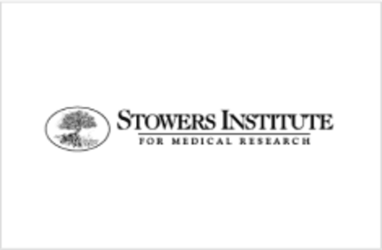 stowers institute