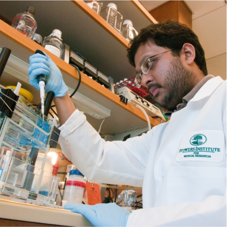 Advancing Innovative Treatments (Stowers)