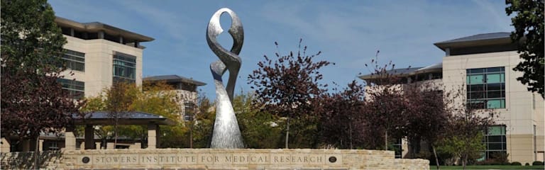 Stower's Institute for Medical Research