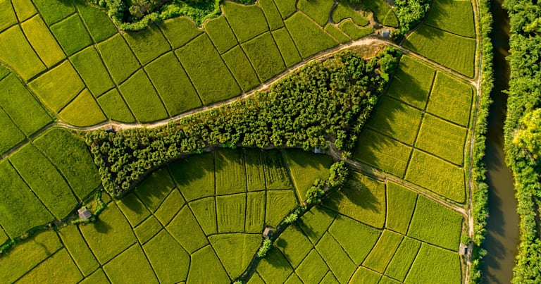 Aerial view of agricultural land.